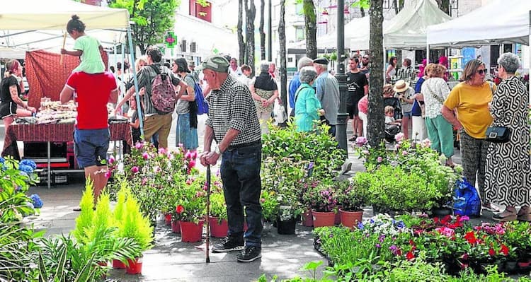 Mercadillo de Flores y Plantas